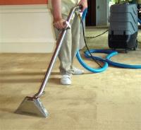 Carpet Cleaning Manly image 3